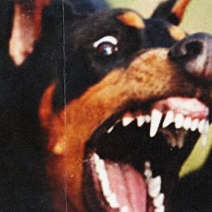 Meet your Posher, Mad